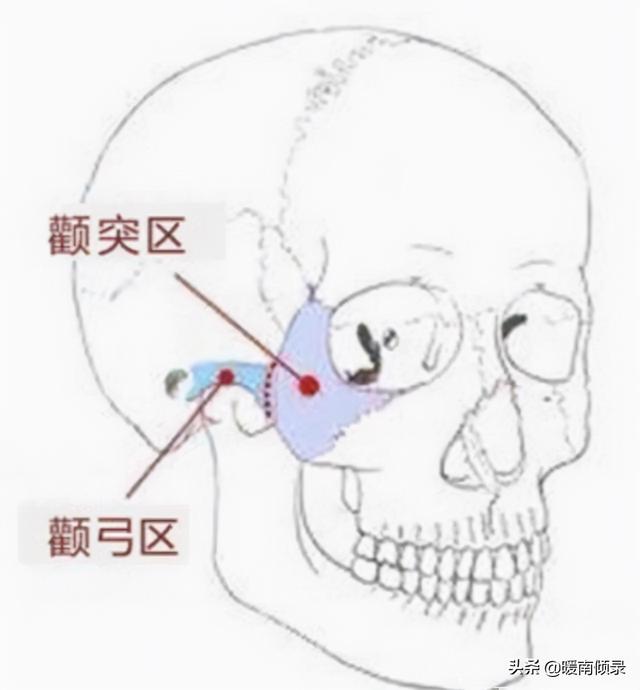 “头生九龙骨，早晚必显贵”，九龙骨是啥？老祖宗辨人术准吗？