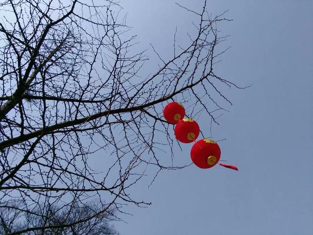 农村俗语：“男人若犯四，就算不死，也要脱层皮”说的是啥意思？
