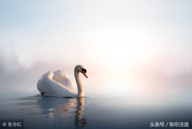 《生从何来 死往何处》——(九)