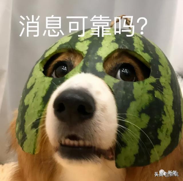 还有人没看过浩哥马屁文学吗？