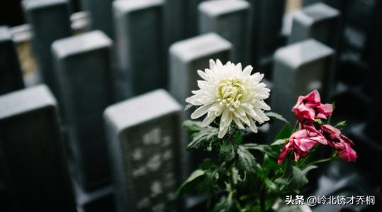大年初七习俗多，“五宜五忌”要牢记