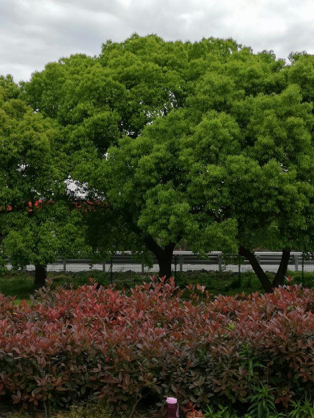 游杭州，途中一猜