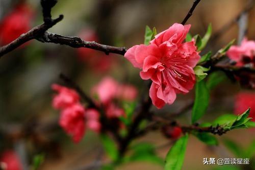 这3类人命里藏金，未来十年，一年比一年有钱，他们是锦鲤转生