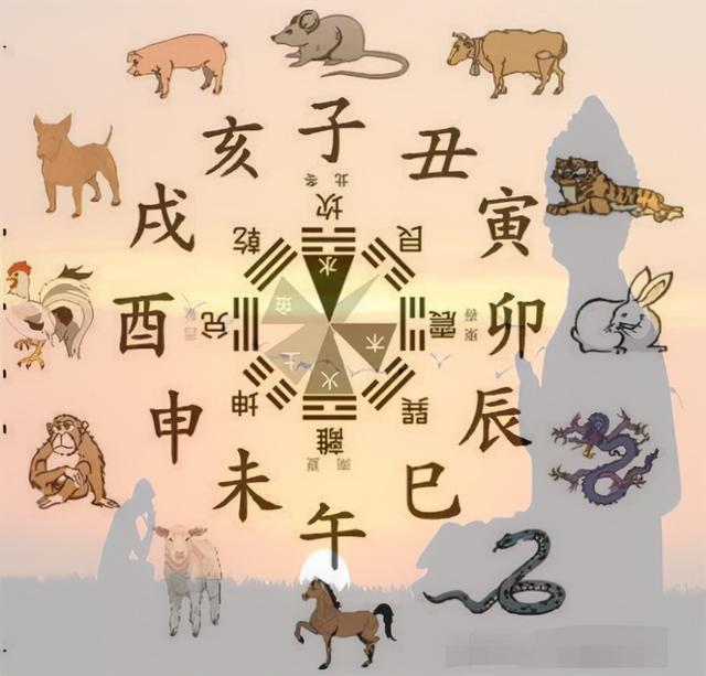 12地支在相学家的眼里就是一副塔罗牌