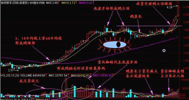 股票出现“仙人指路”形态，说明主力正在强势洗盘，拿错了也要死拿不放，股价或将喷发式上涨