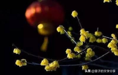 《易经》的日常用法