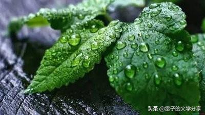 《易经》的日常用法