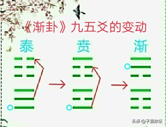「诗经·鸿雁」与「易经·渐卦」共鉴，领略异曲同工之妙