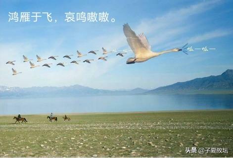 「诗经·鸿雁」与「易经·渐卦」共鉴，领略异曲同工之妙