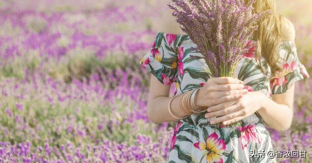 塔罗：检视你的内心花园，幸福正在萌芽？