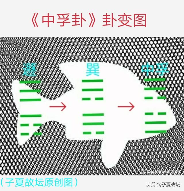 「周易登堂」第二十二讲 正确理解爻与爻“承乘比应”关系中的应