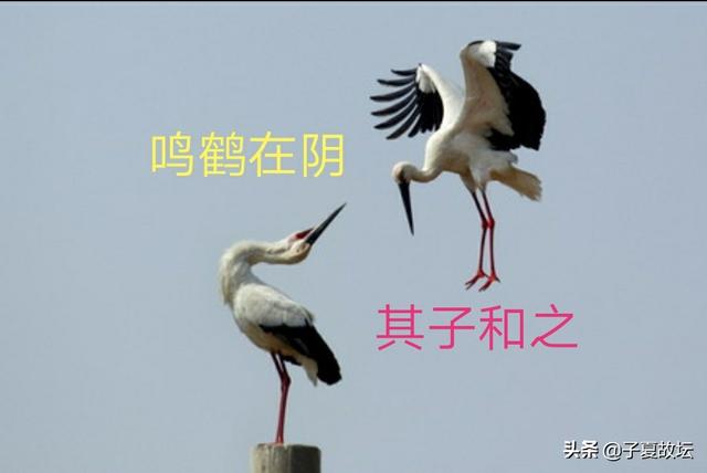 「周易登堂」第二十二讲 正确理解爻与爻“承乘比应”关系中的应