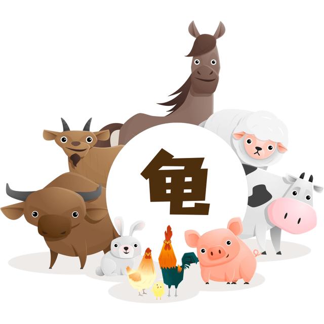 古人常常用它占卜，因为它......