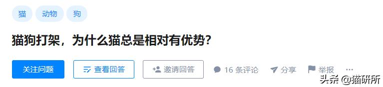 猫狗双全就是人生赢家？先看看如何避免猫狗大战吧