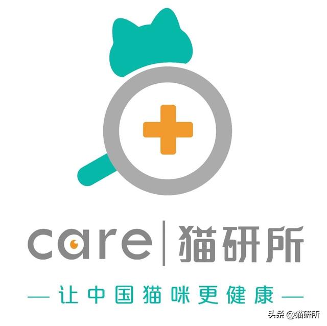猫狗双全就是人生赢家？先看看如何避免猫狗大战吧