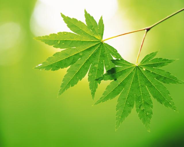 深刻解读《易经》八卦，其中有我们传承千年的智慧
