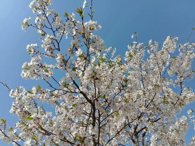 农村里来的这两种人，有的村民骂他们，有的村民给他们钱