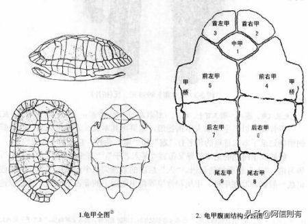 中华古法@￥是怎么作弊的？