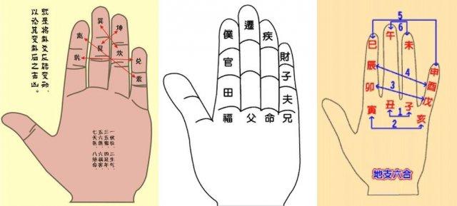 @￥先生经常点手指，到底点的是什么呢？
