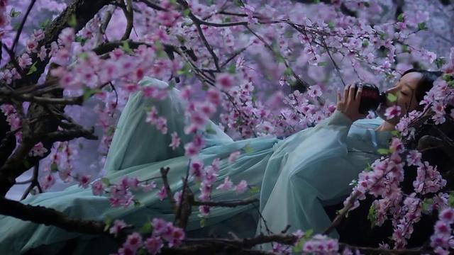 《三生三世十里桃花》三人遇白浅“误终身”，只有一个还不错