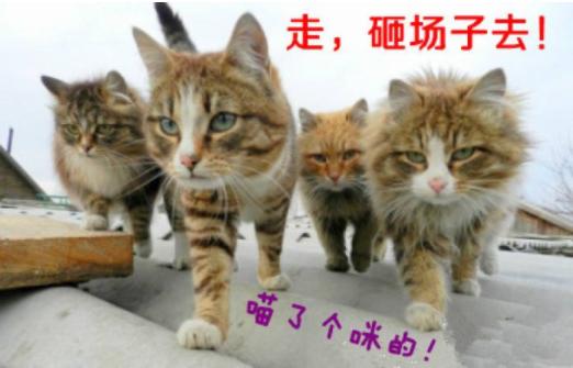 学《易》趣事---“砸场”没商量