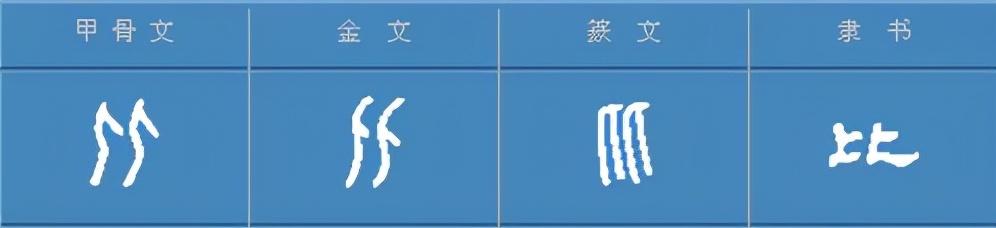 汉字有生命——比；“君子周而不比，小人比而不周”是什么意思？