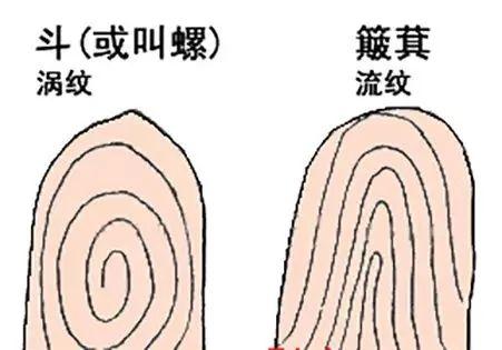 指纹几个斗，代表什么命？爆准！！