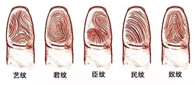 指纹几个斗，代表什么命？爆准！！