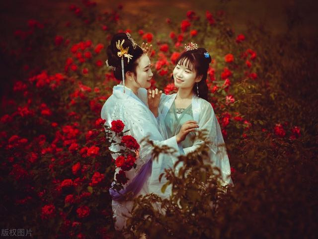 命犯孤鸾，却天赐娥皇女英《夺锦楼》：阅读学习篇