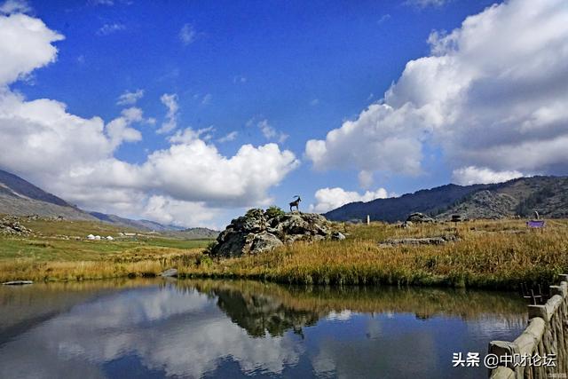 你是神经病