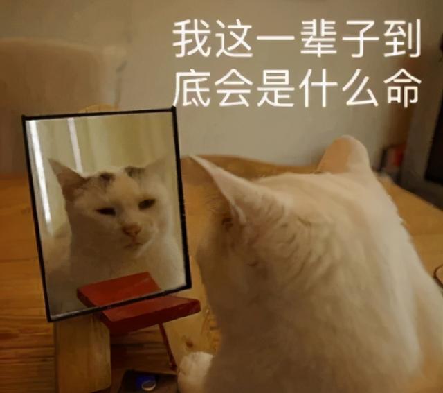 这年头@￥都成了真正的科学