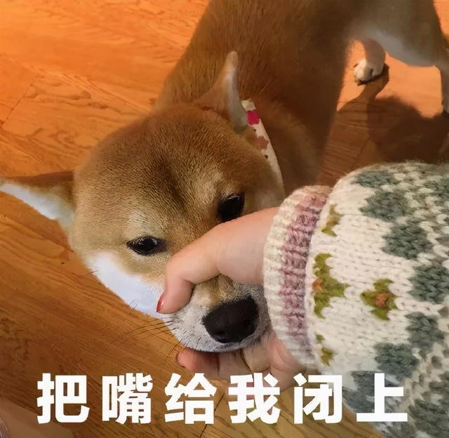 这年头@￥都成了真正的科学
