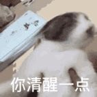 这年头@￥都成了真正的科学