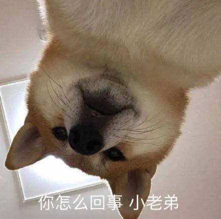 科技@￥，最为致命