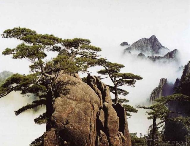 一个让我很纠结的梦