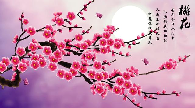 人命犯桃花好还是不好？