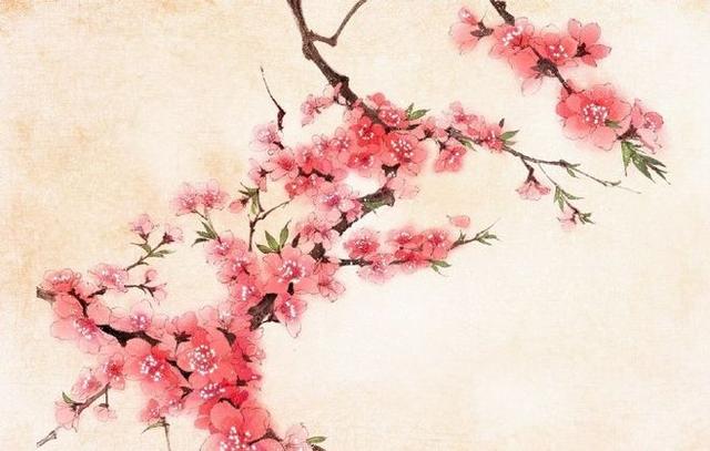 人命犯桃花好还是不好？