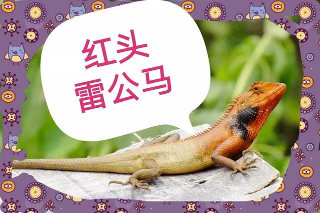 悠然闲侃（16）：三起三落