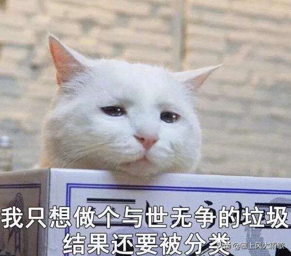 网友分享去@￥的有趣经历？@￥说出了我早恋的事情！哈哈哈！