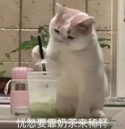 网友分享去@￥的有趣经历？@￥说出了我早恋的事情！哈哈哈！