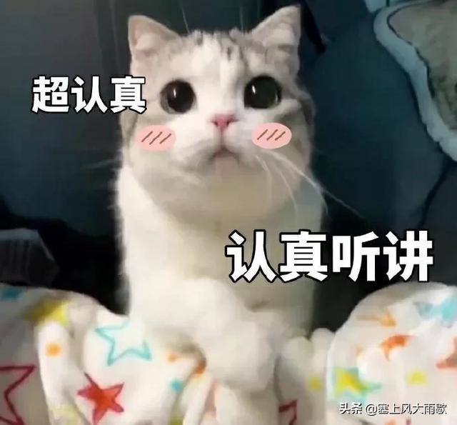 网友分享去@￥的有趣经历？@￥说出了我早恋的事情！哈哈哈！