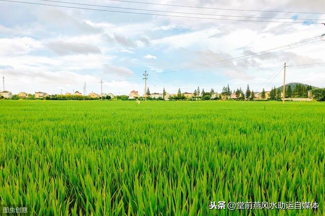四柱之如何判断旺衰，在人生道路的起起伏伏阶段得以警示