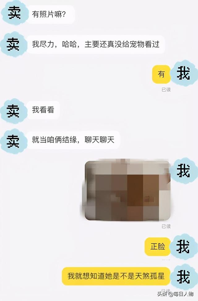 给猫看面相，交钱逆天改命，线上大师@￥套路有多深？