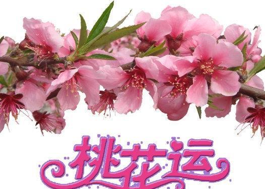 一个经典桃花旺女生的命格，相当精采，过来看看