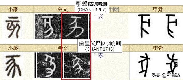 惊人的真相：地支原来是指女人怀孕生子的过程