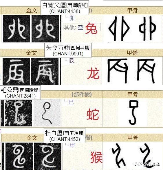 惊人的真相：地支原来是指女人怀孕生子的过程