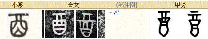 惊人的真相：地支原来是指女人怀孕生子的过程