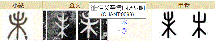 惊人的真相：地支原来是指女人怀孕生子的过程
