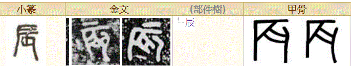惊人的真相：地支原来是指女人怀孕生子的过程