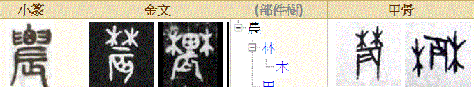 惊人的真相：地支原来是指女人怀孕生子的过程